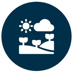 Icon of sun, cloud, and plants representing weather and agriculture.